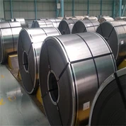 Paks pehme Ms süsinikterasest külmvaltsitud terasest mähis 6 mm